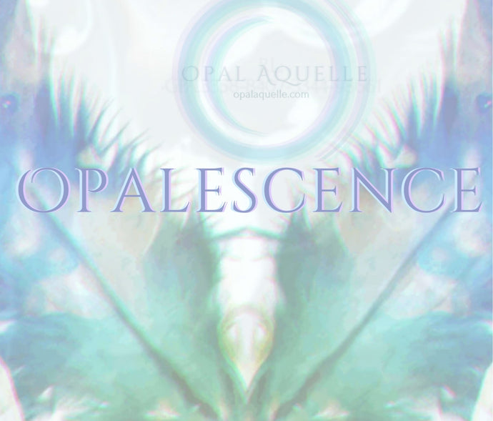 Presenting: The OPALESCENCE Shoe Brand!